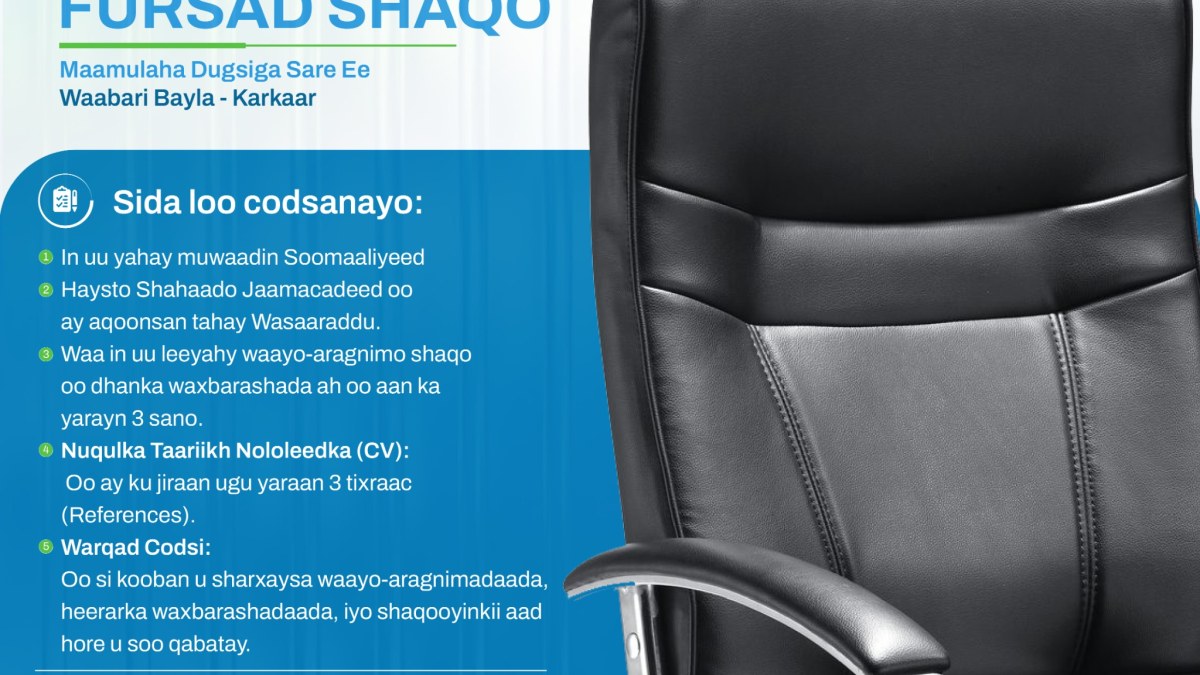 Fursad Shaqo - Maamulaha Dugsiga Sare ee Waabari Bayla